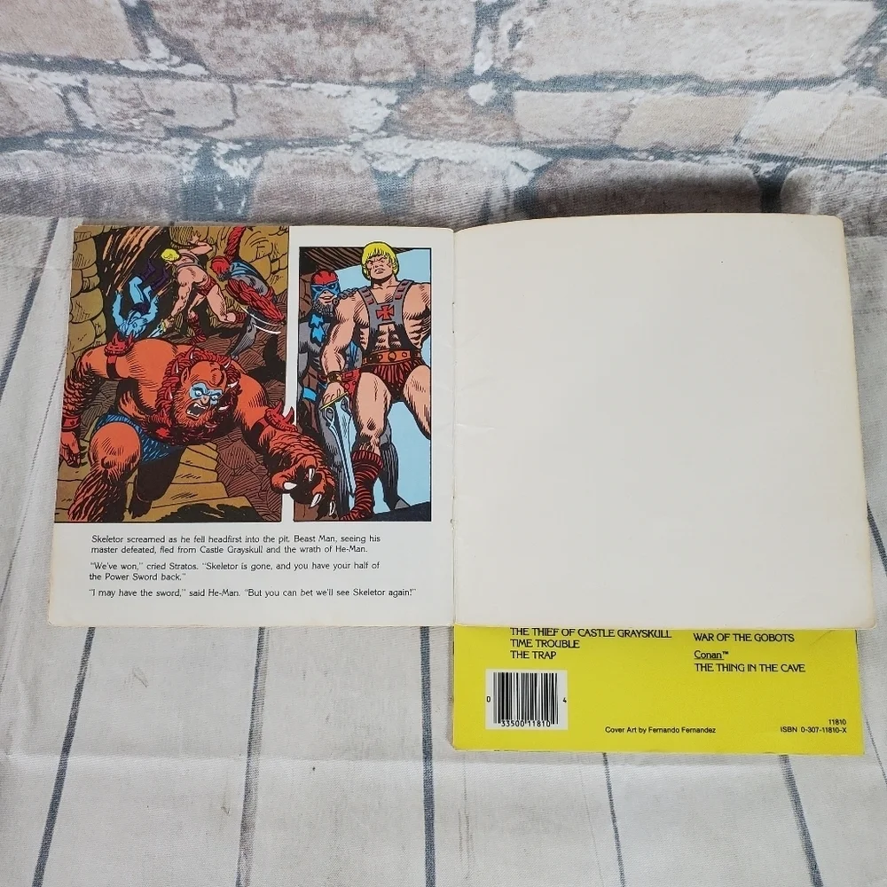 Masters of the Universe Princess of Power  Books - Picture 9 of 15